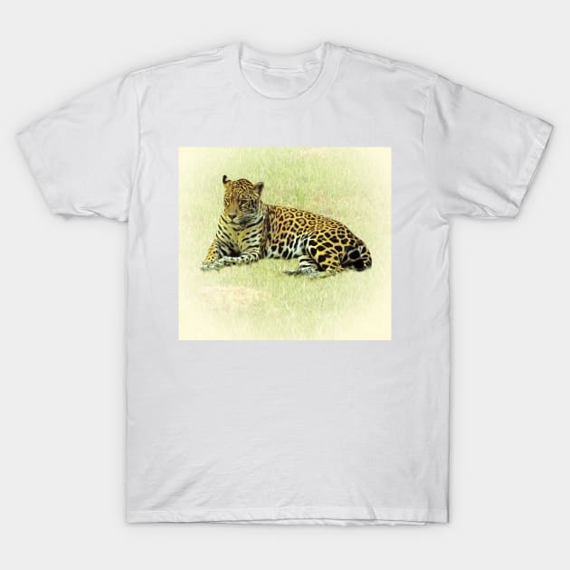 Jaguar T-Shirt by Guardi